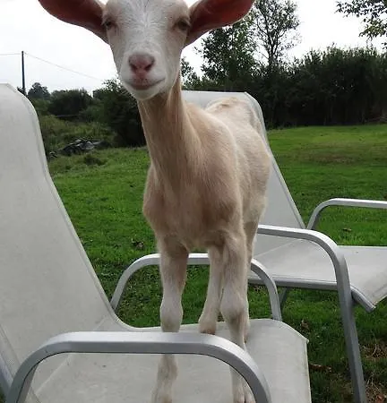 Farma La Rougerie